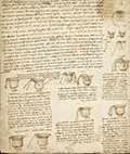 Mostra Codice Leicester di Leonardo da Vinci Firenze